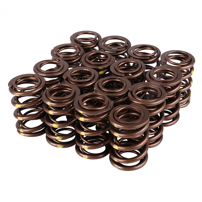 Skunk 2 Pro Series Valve Springs