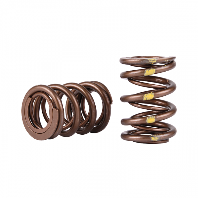 Skunk 2 Pro Series Valve Springs