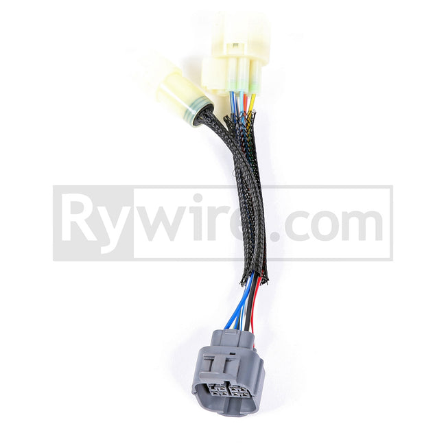 Rywire Distributor Adapters