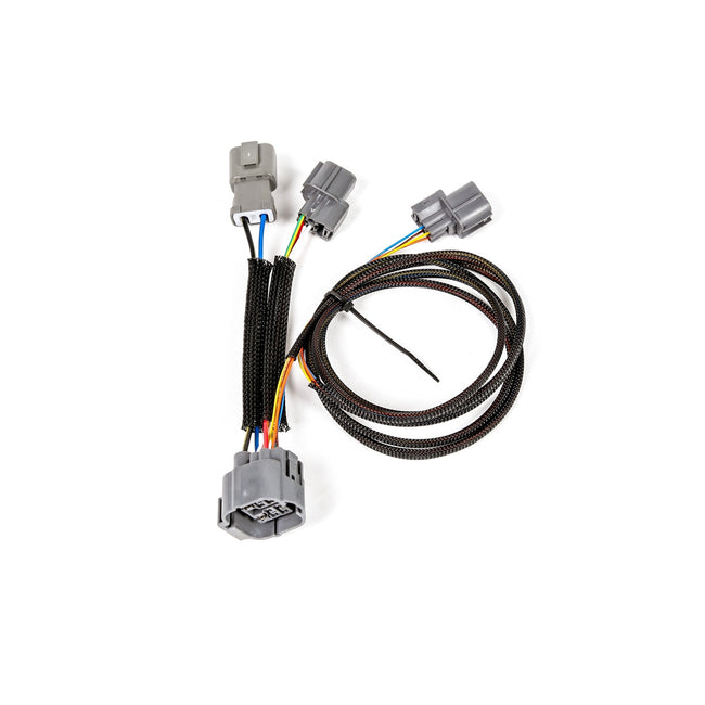 Rywire Distributor Adapters
