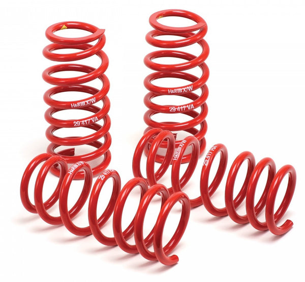 H&R Race Lowering Springs