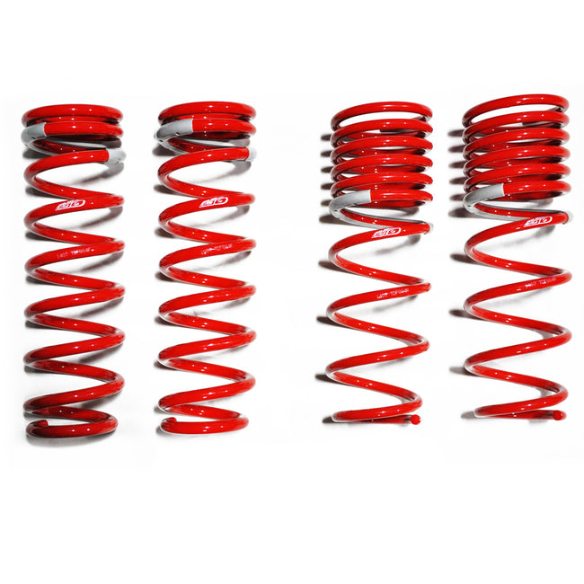 Tanabe Sustec DF210 Super Low Down Springs