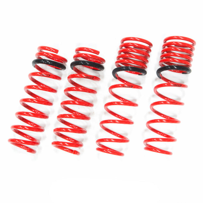 Tanabe Sustec DF210 Super Low Down Springs