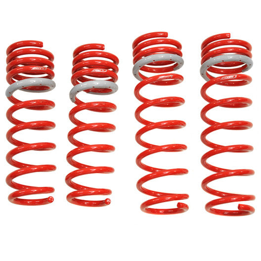 Tanabe Sustec DF210 Super Low Down Springs