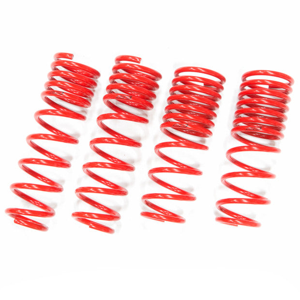 Tanabe Sustec DF210 Super Low Down Springs