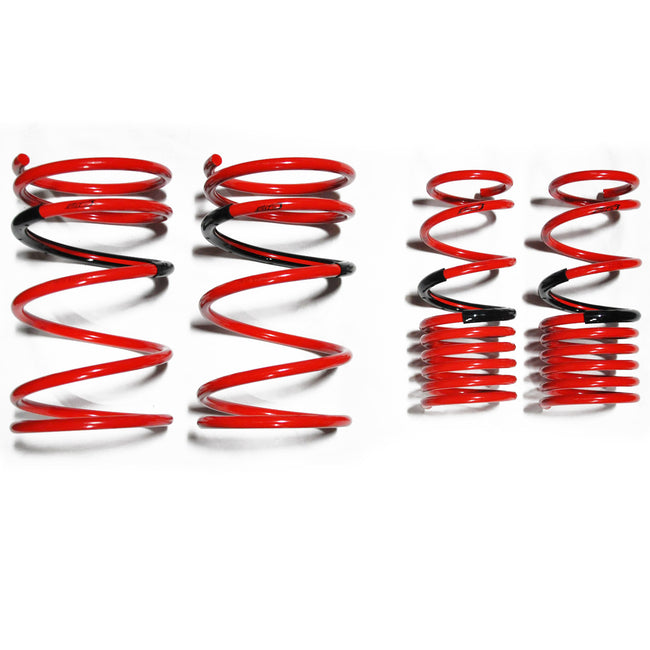 Tanabe Sustec DF210 Super Low Down Springs