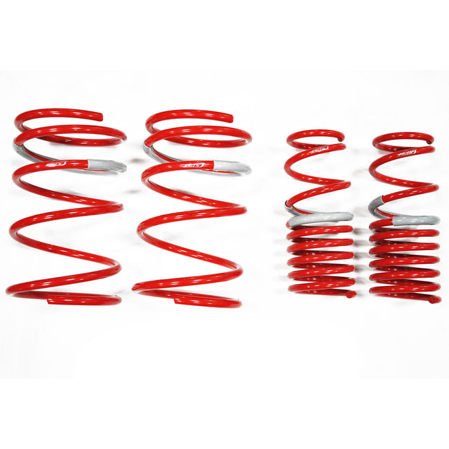 Tanabe Sustec DF210 Super Low Down Springs