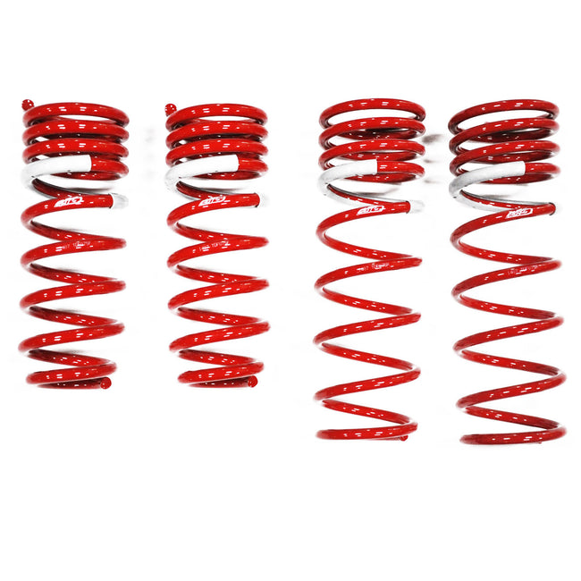 Tanabe Sustec DF210 Super Low Down Springs