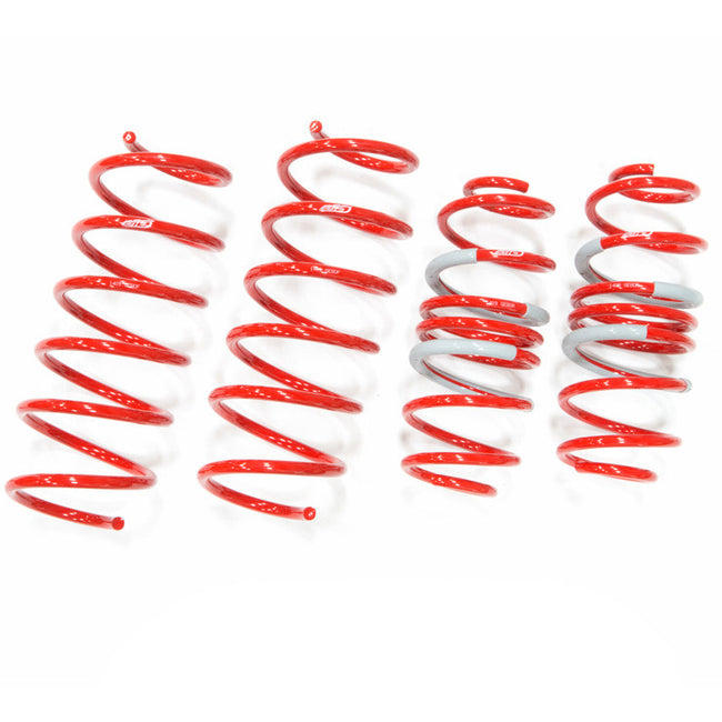 Tanabe Sustec DF210 Super Low Down Springs