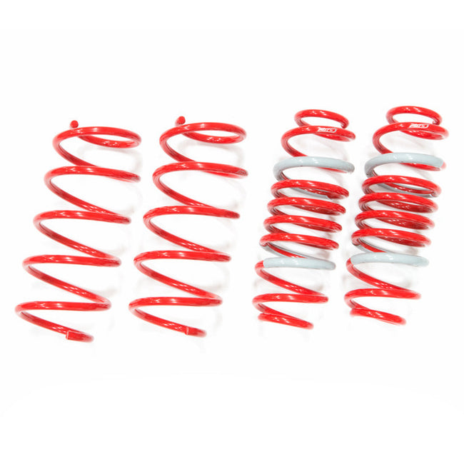 Tanabe Sustec DF210 Super Low Down Springs