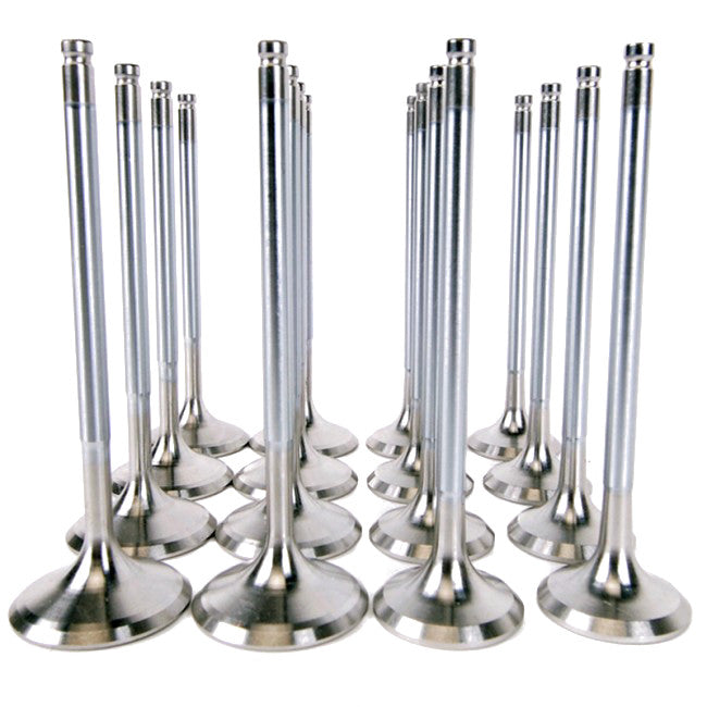 Skunk 2 Alpha Series Valves
