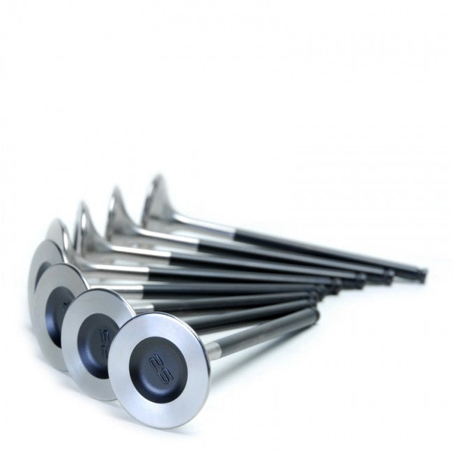Skunk 2 Pro Series Valves