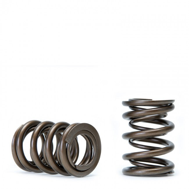 Skunk 2 Pro Series Valve Springs