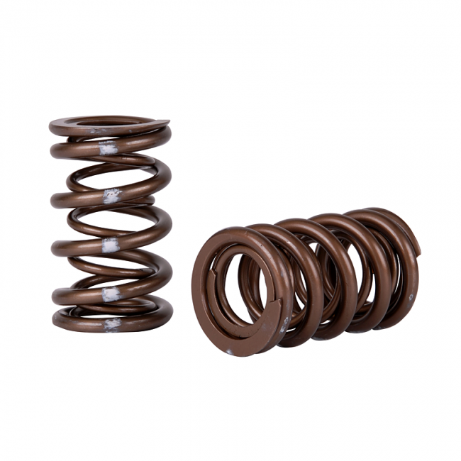 Skunk 2 Pro Series Valve Springs