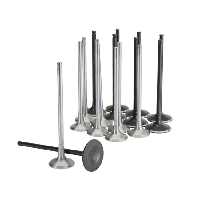 Skunk 2 Alpha Series Valves