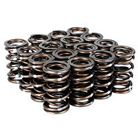 Buddy Club P-1 Racing Dual Valve Spring Set