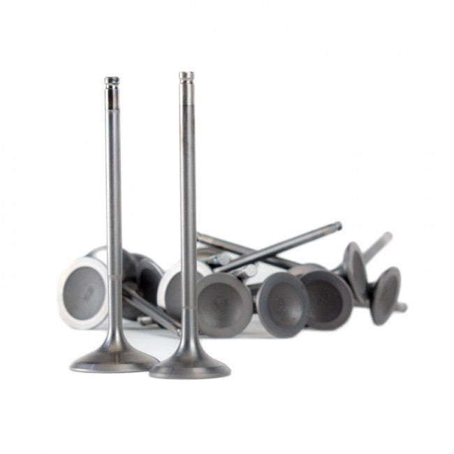 Skunk 2 Ultra Series Valves