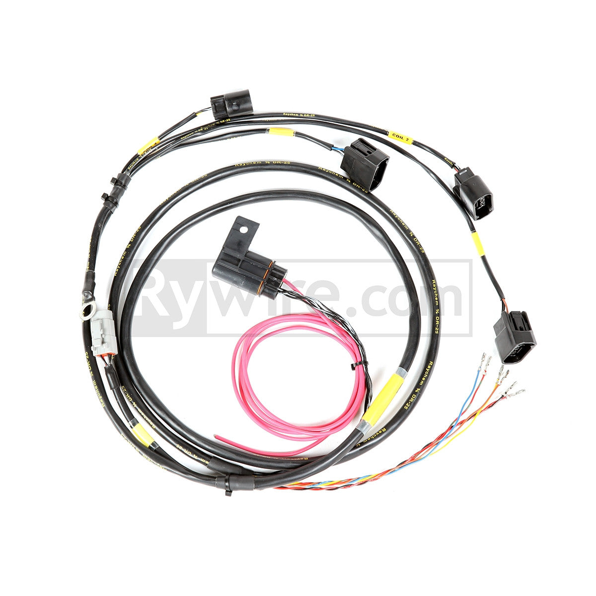 Rywire Coil-On-Plug Harness