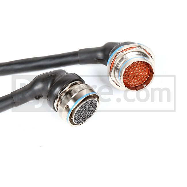 Rywire OBD1 Mil-Spec D/B-Series Tucked Engine Harness (with Quick Disconnect)