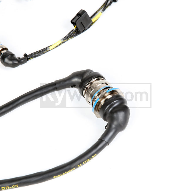 Rywire OBD2 Mil-Spec D/B-Series Tucked Engine Harness (with Quick Disconnect)