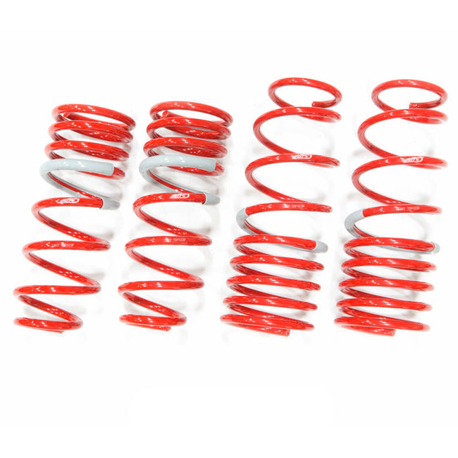Tanabe Sustec DF210 Super Low Down Springs