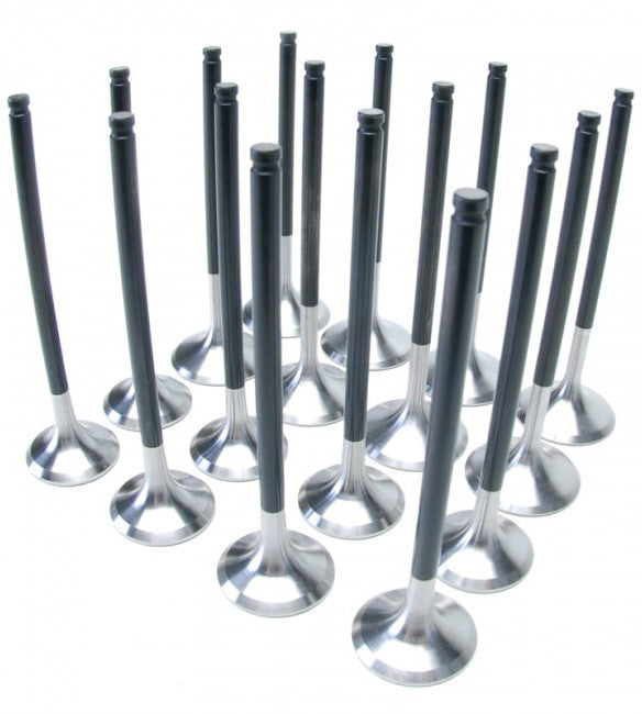 Skunk 2 Pro Series Valves